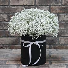 Цветочная композиция из Гипсофила в шляпной коробке в Крыму Ростовская область